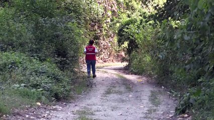 Kaybolan yaşlı adam için arama çalışması başlatıldı - DÜZCE