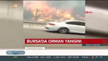 Bursa'da çıkan orman yangınıyla ilgili olarak soruşturma başlatıldı