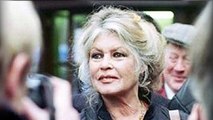 Brigitte Bardot veut la tête du « trouillard » Nicolas Hulot