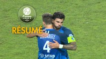 Grenoble Foot 38 - Chamois Niortais (1-0)  - Résumé - (GF38-CNFC) / 2018-19