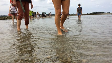 Les traversées de Tatihou