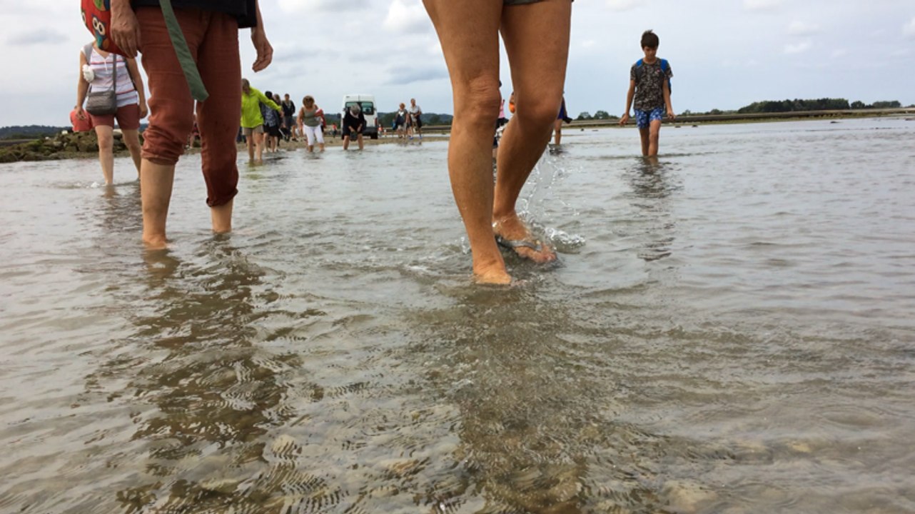 Les traversées de Tatihou