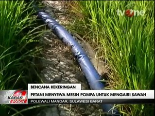 Bantuan tak Kunjung Datang, Petani Sewa Mesin Pompa untuk Mengairi Sawah
