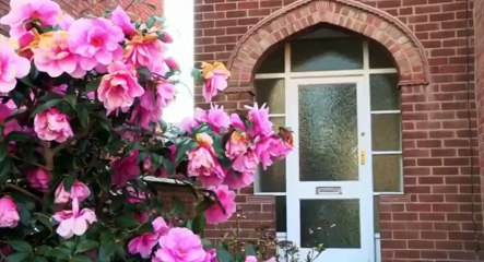 Homes Under the Hammer S19 - Ep49 Thu, 19th November 2015 - Part 01 HD Watch