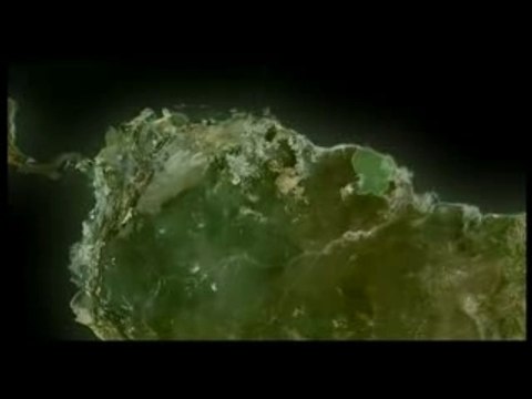 Voyage en eau trouble