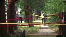 12-Year-Old Girl Among Three Relatives Shot on Chicago Porch