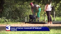 Family Tries to Track Down Dog`s Owner After Toddler Mauled
