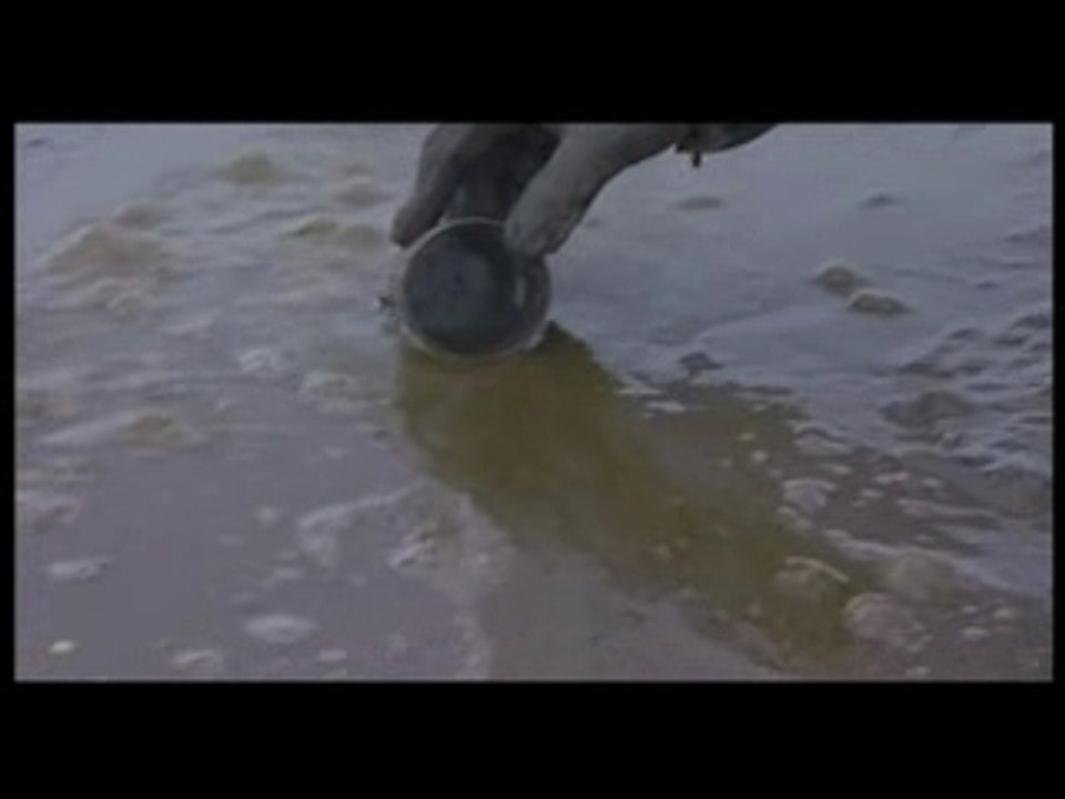 Au commencement était la vase