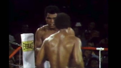 LOS 14 GOLPES CONTRA EL CAMPEON