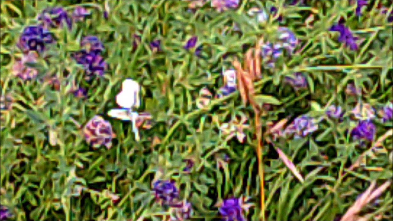 slow motion 12