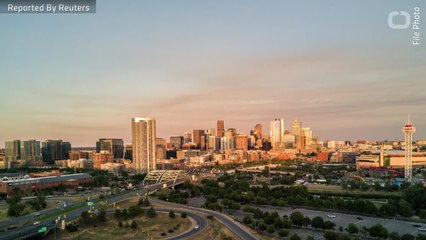 Mountain Lion Breaks Into Colorado Home, Kills Family Cat