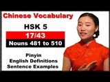 HSK 5 Course - Complete Chinese Vocabulary Course - HSK 5 Full Course / Nouns 481 to 510 (17/43)