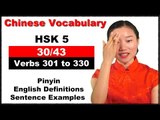 Learn Chinese HSK 5 Vocabulary with Pinyin and English Sentence Examples - Verbs 301 to 330 (30/43)