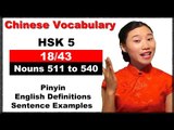 HSK 5 Course - Complete Chinese Vocabulary Course - HSK 5 Full Course / Nouns 511 to 540 (18/43)