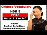 Learn Chinese HSK 5 Vocabulary with Pinyin and English Sentence Examples - Verbs 211 to 240 (27/43)
