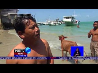 Fenomena Lempar Hewan Ternak - NET 12