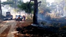 Ezine'de orman yangını (1) - ÇANAKKALE