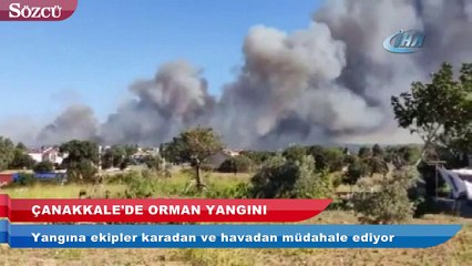 Çanakkale’de orman yangını