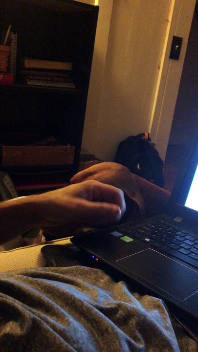 Never Stop Petting