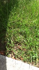 Caring Couple Gives Boy Back to School Gear