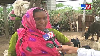 Rain delayed, Worried Gujarat farmers hoping govt assistance