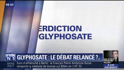 La colère de Laura Smet sur BFMTV contre les abandons d'animaux