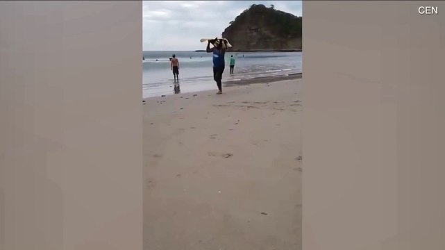 Des braconniers surpris en train de voler des tortues de mer