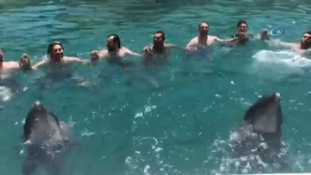 Yunus Balıklarının Tulumla Horon Keyfi