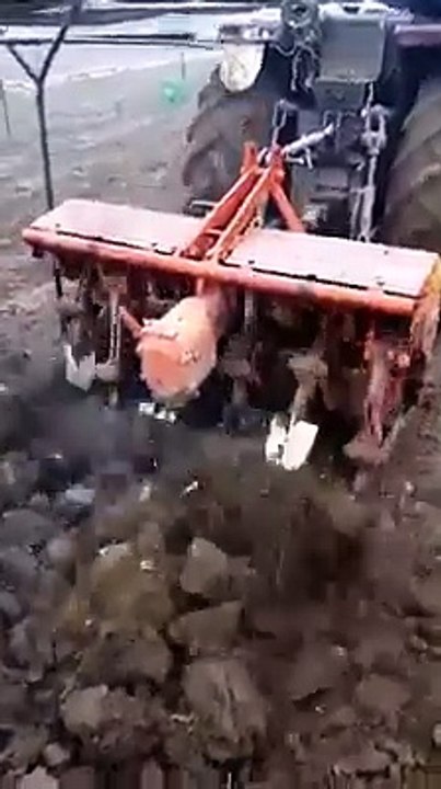 Agriculture - dig dig dig