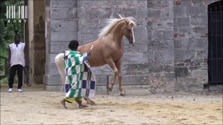 Madi Dermé et son cheval Spectacle 2018