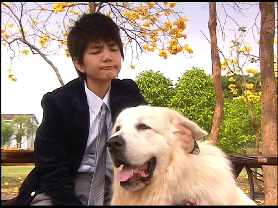 花ざかりの君たちへ 花様少年少女 第2話 例の答え 動画 Dailymotion