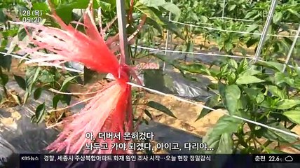 내고향 스페셜 남도지오그래피.180628.450p.mp4