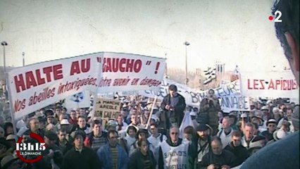 "Quand l'abeille va mal, l'homme va mal" : un apiculteur lanceur d'alerte en lutte continue contre les pesticides