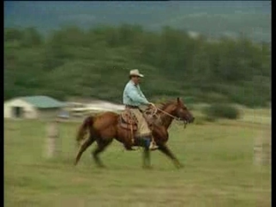 Le secret des chuchoteurs