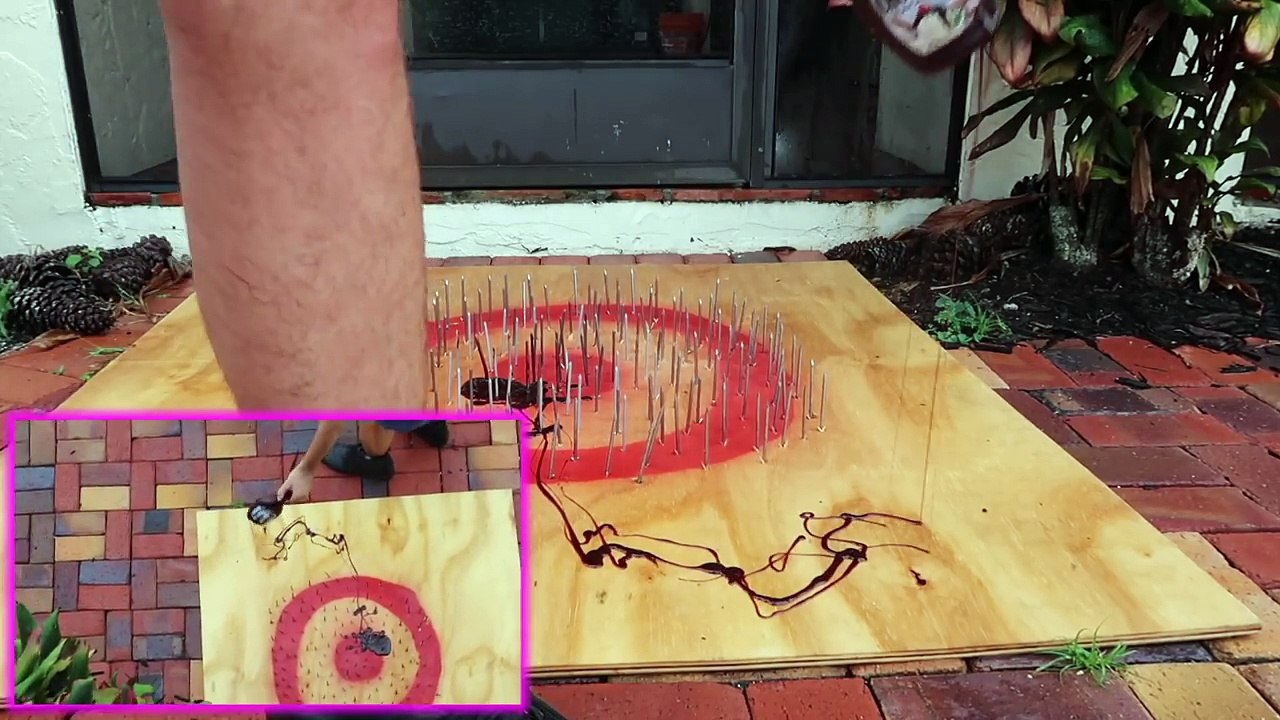 DROPPING DOLLAR STORE ITEMS ON A SHARP NAIL BED 45ft! YOU WONT BELIEVE WHAT HAPPENED!!!!