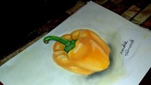 Drawing  Pepper