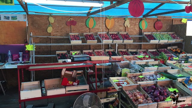 Étape 12 : Chaumont-sur-Loire – Amboise / Saint-Jacques-de-Compostelle par la Voie de Tours – 12 août 2017.