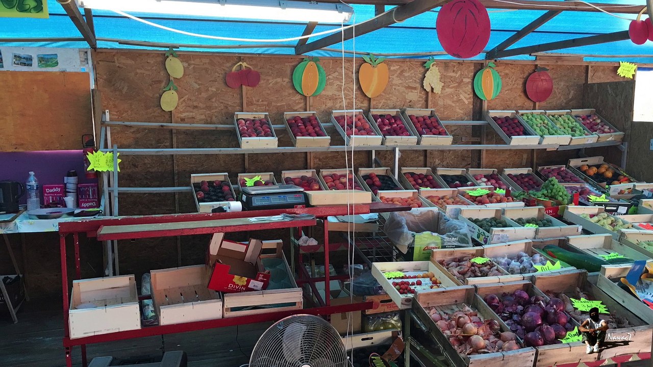 Étape 12 : Chaumont-sur-Loire – Amboise / Saint-Jacques-de-Compostelle par la Voie de Tours – 12 août 2017.