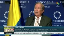 Sustitución de cultivos de coca será obligatoria en Colombia