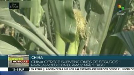 China ofrece subvenciones para la producción agrícola del país