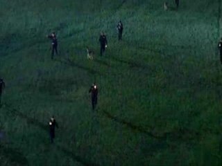 Prison Break vs Pleymo By stifler922