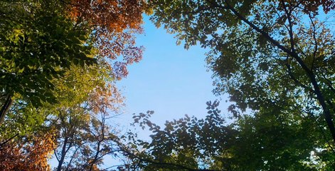 The Bacchus Lady (2016) 죽여주는 여자 (P 2 - 2/2 고화질HD)