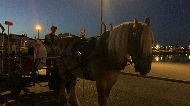 Chasseurs de papiers