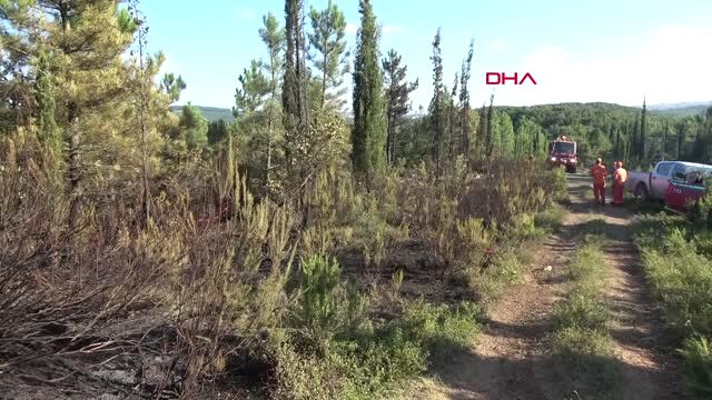 Kocaeli Arıcı Ateş Yaktı, Orman Yandı