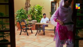 Ishq Tamasha Episode #23 HUM TV Drama 12 August 2018