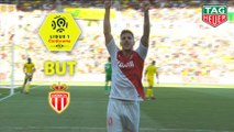 But Stevan JOVETIC (80ème) / FC Nantes - AS Monaco - (1-3) - (FCN-ASM) / 2018-19