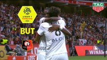 But Clément GRENIER (43ème) / LOSC - Stade Rennais FC - (3-1) - (LOSC-SRFC) / 2018-19