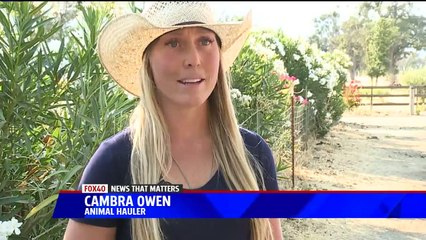 Woman Uses Her Ranch to Care for Animals Displaced by California Wildfire