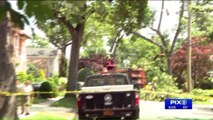 New York Lawmaker Says Parks Department is Ignoring Hundreds of Complaints About Dangerous Trees