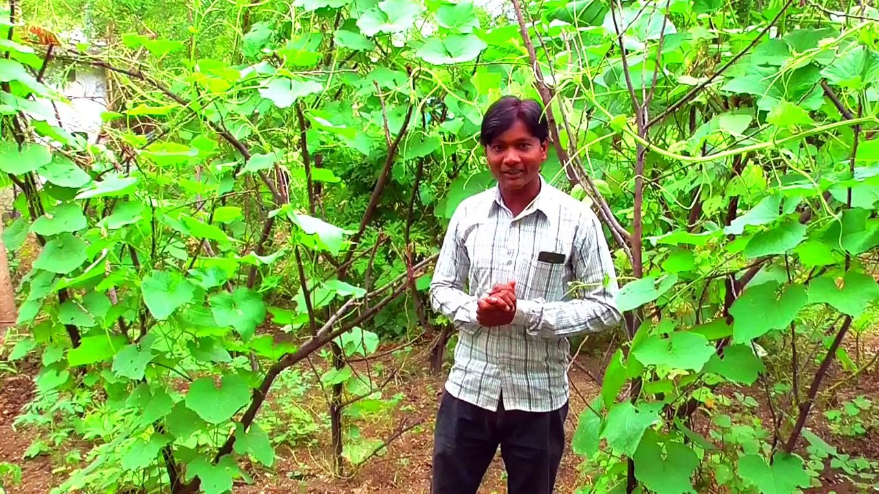 Jagrut patel & laxmi kanchan chhattisgarhi song ka mohni tain mud ma dare vo